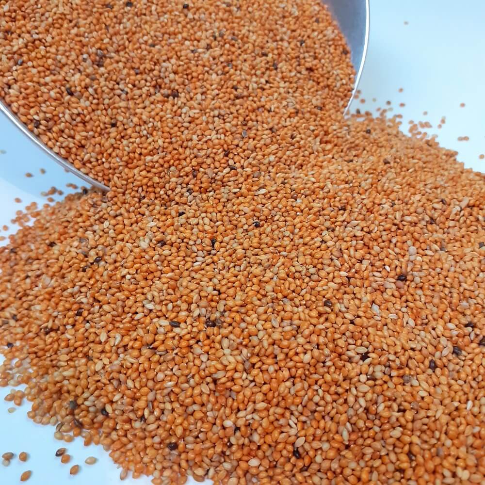 Rote Hirse Senegalhirse