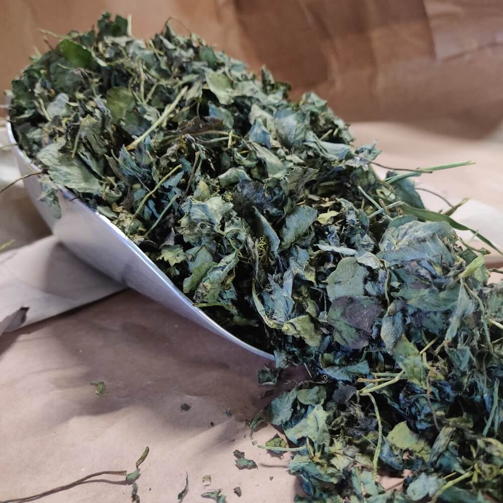 Getrockneter Rotklee für Kaninchen und Nager