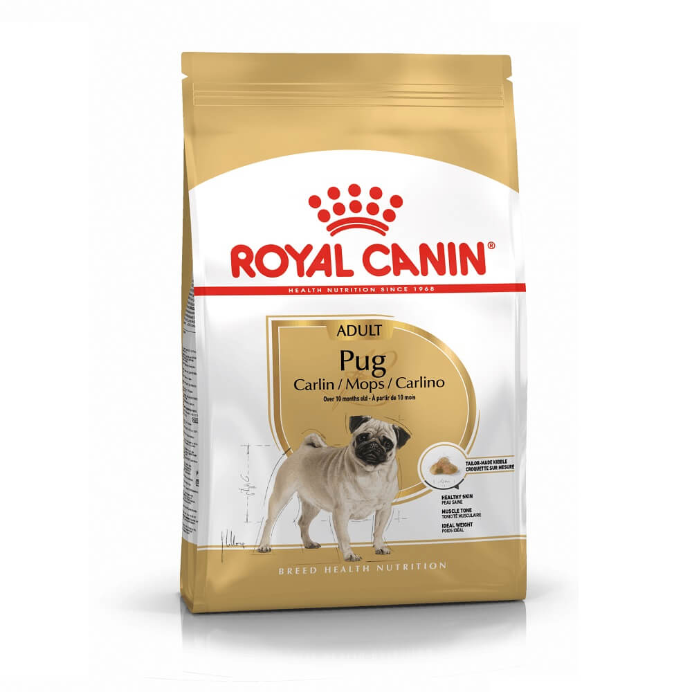 Royal Canin Pug Mops Adult