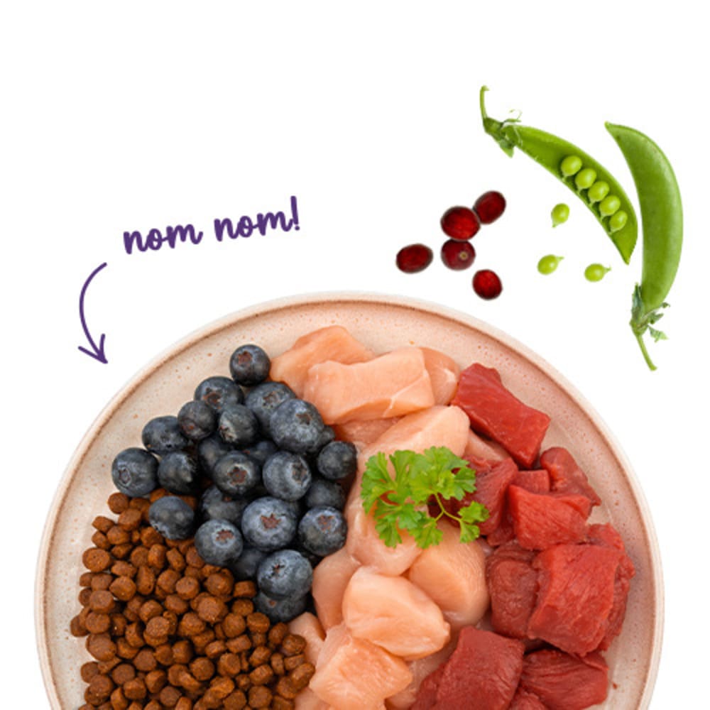 Sanabelle Adult Strauß & Blaubeere