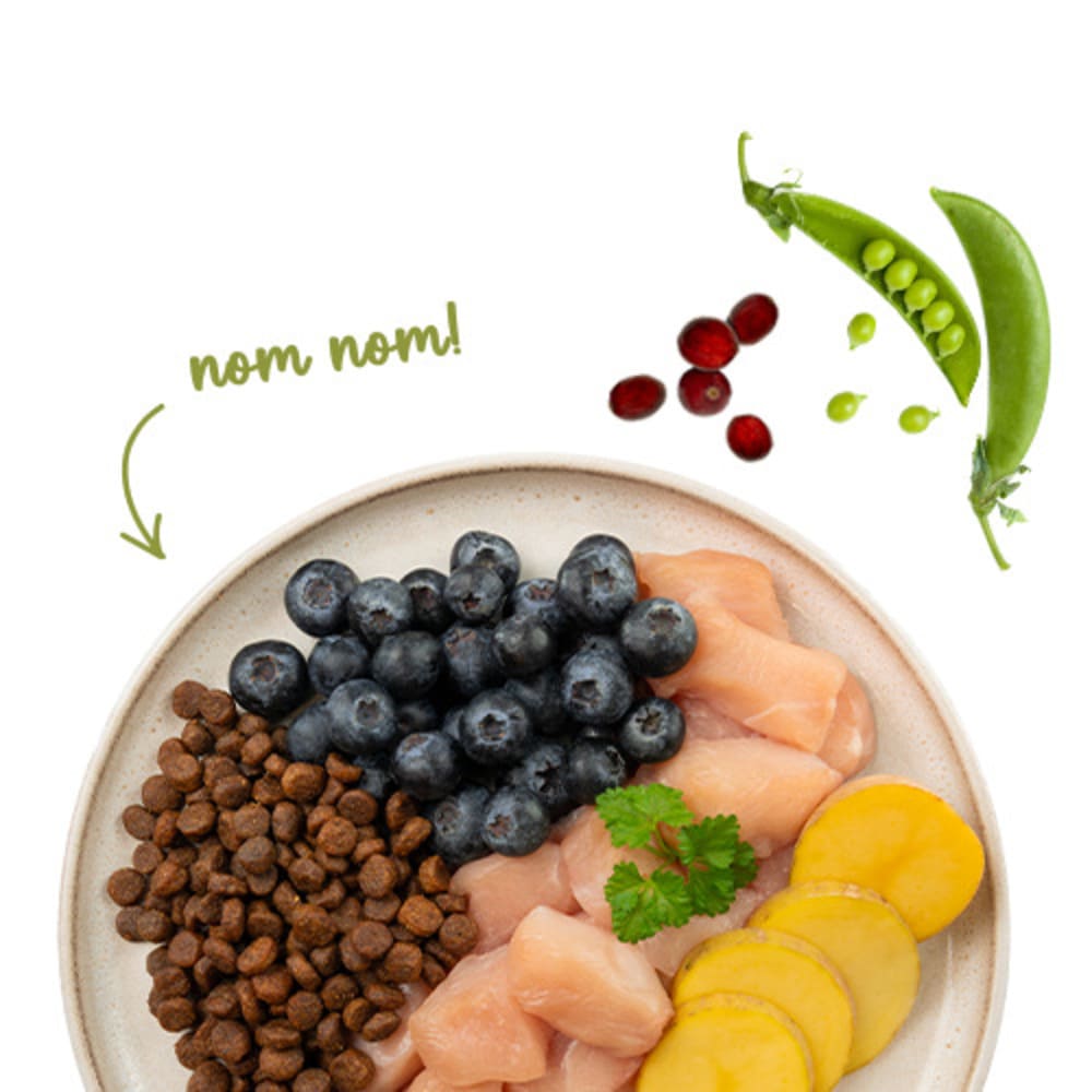 Sanabelle No Grain Huhn & Blaubeere