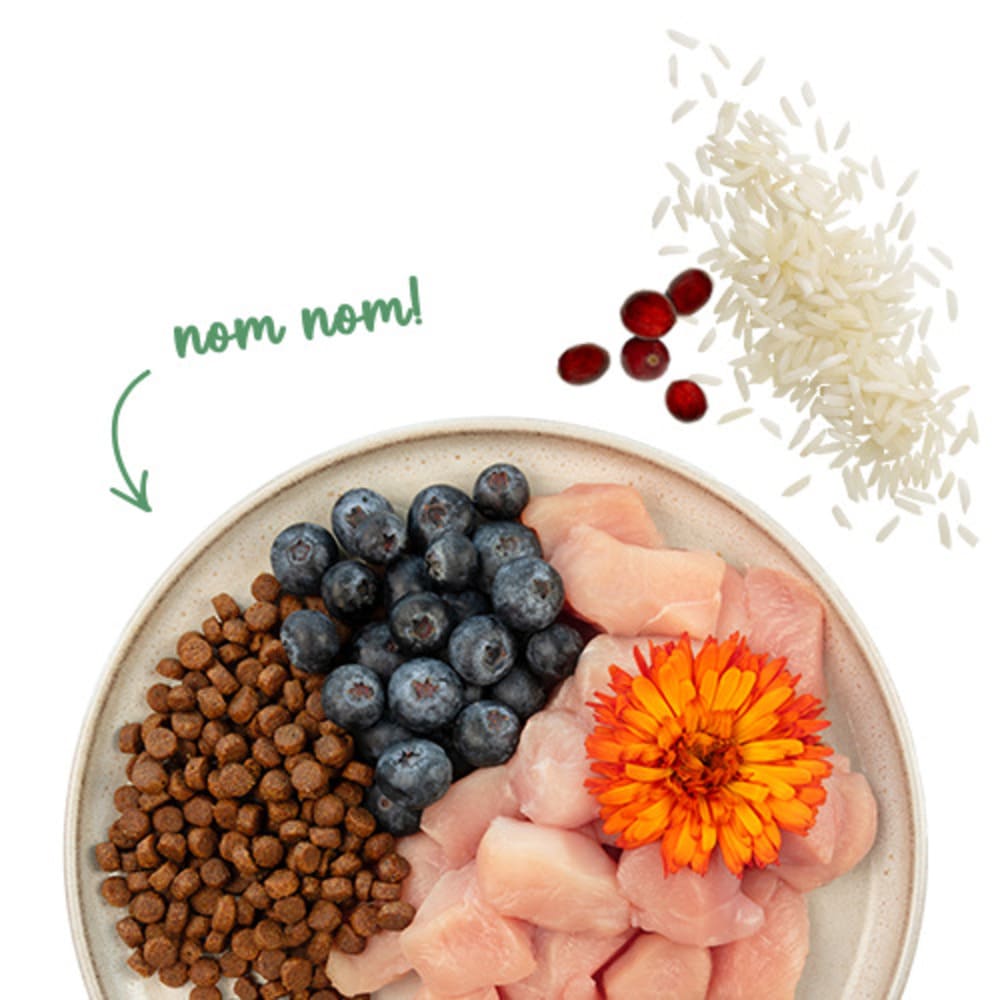 Sanabelle Sensitive Huhn & Blaubeere