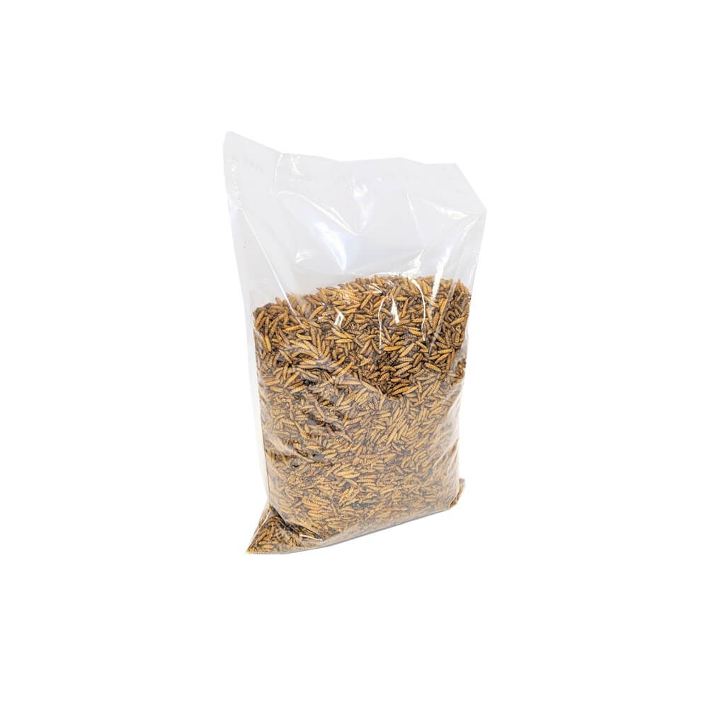 Soldatenfliegenlarven Kleintüte