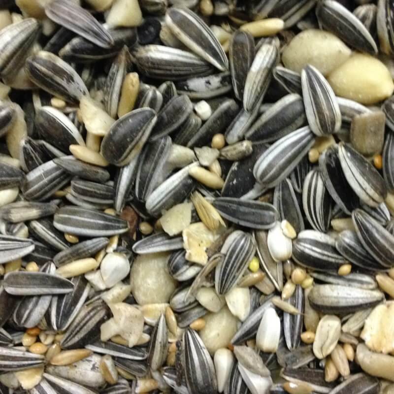 Streufutter Spezial für Wildvögel ohne Mais, Milo und Weizen