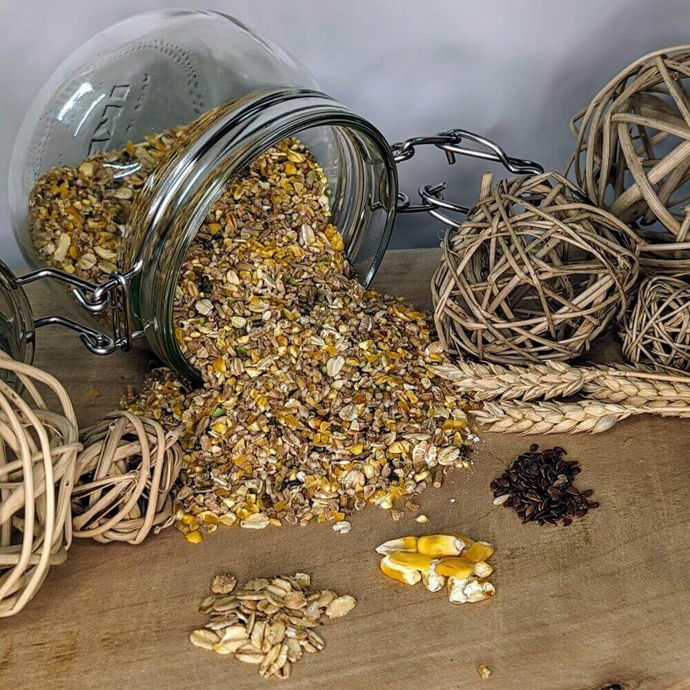 Wachtelfutter gegrützt - Wachtelgrütze