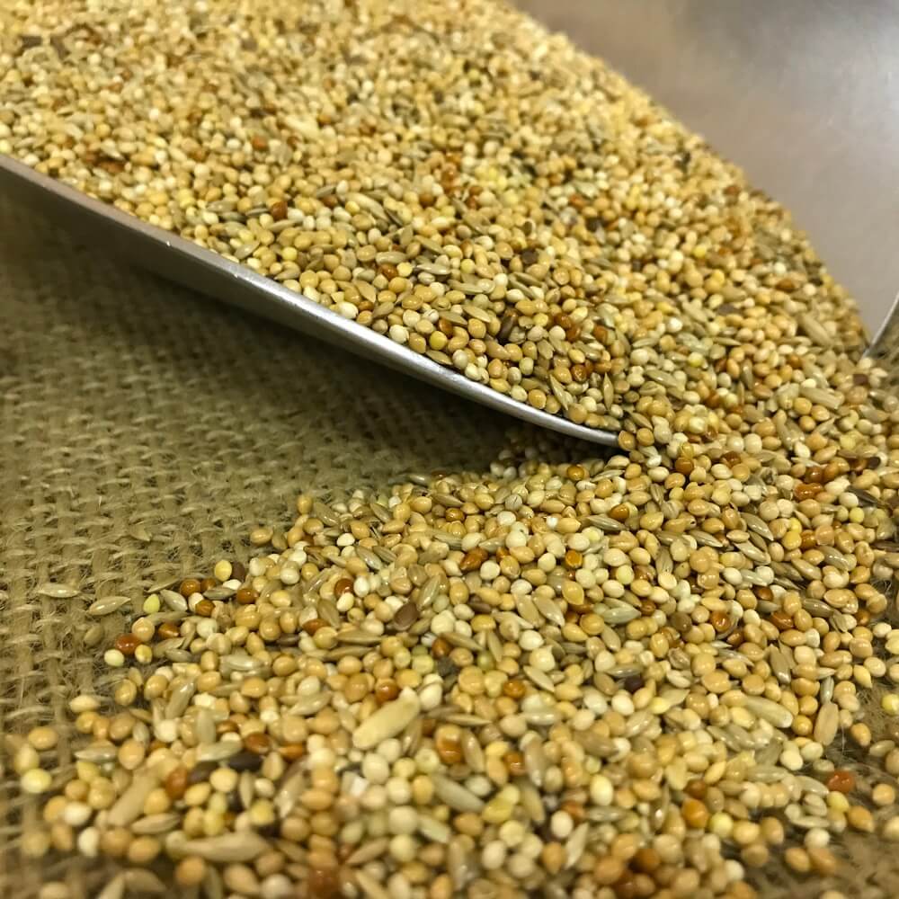 Expert Wellensittichfutter Goddy