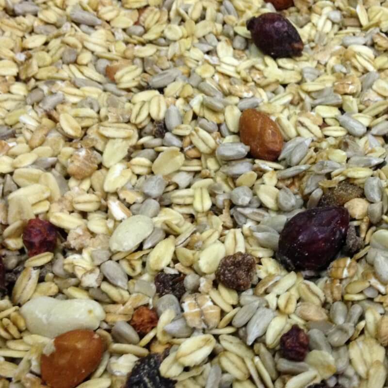 Wildvogelfutter ohne Schalen