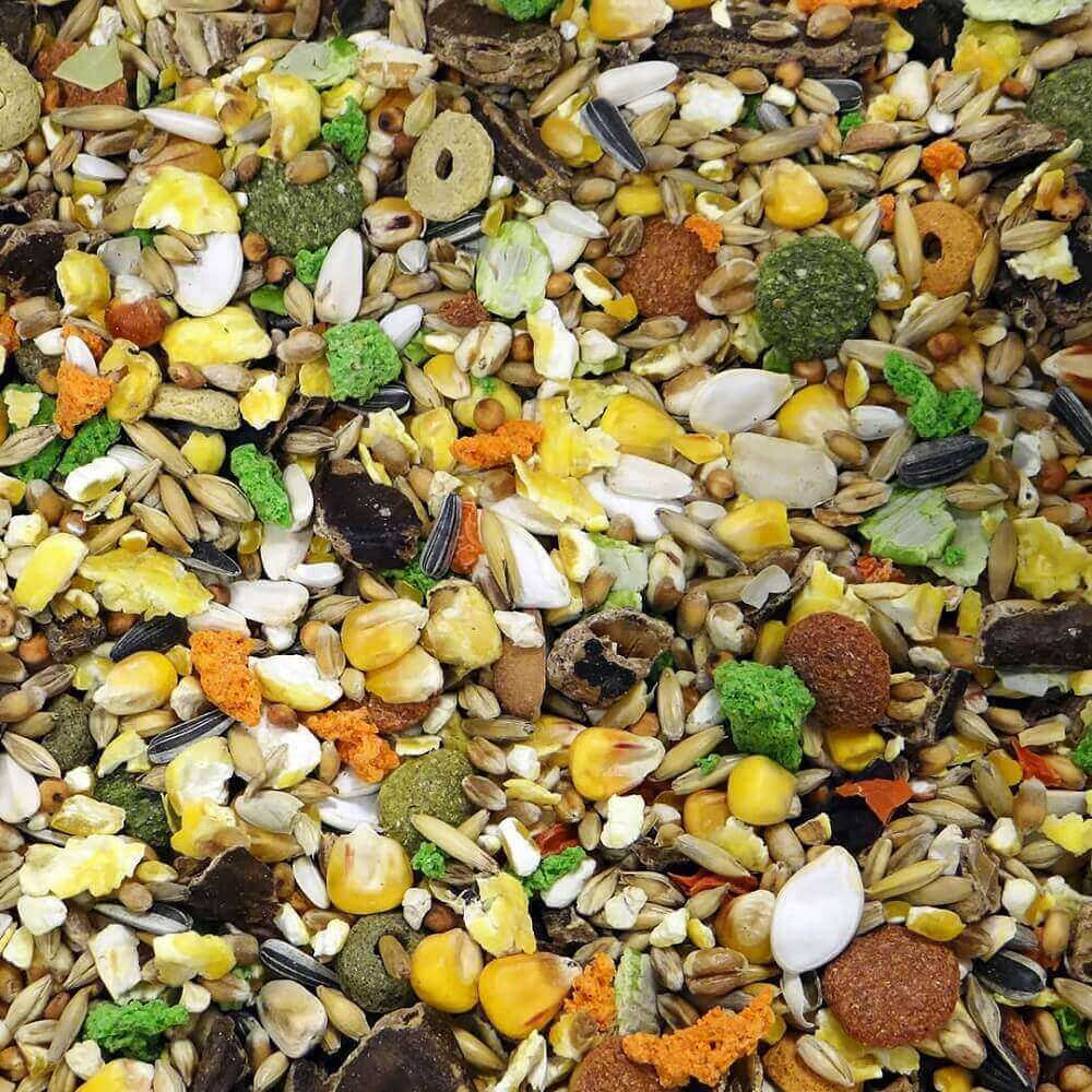 Nagerfutter Krokant von Witte Molen