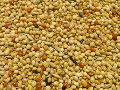 Witte Molen Exotenfutter Prima