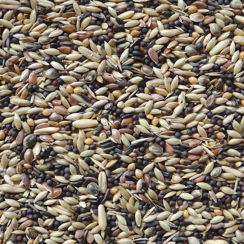 Witte Molen Futter für Waldvögel ES