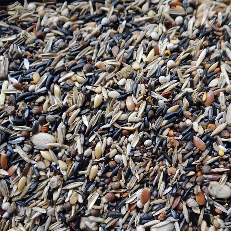 Witte Molen Kapuzenzeisigfutter