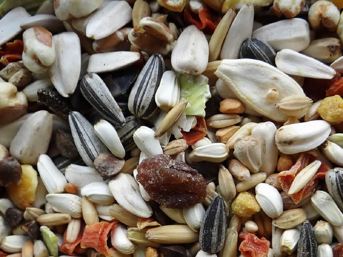 Papageienfutter Premium Plus