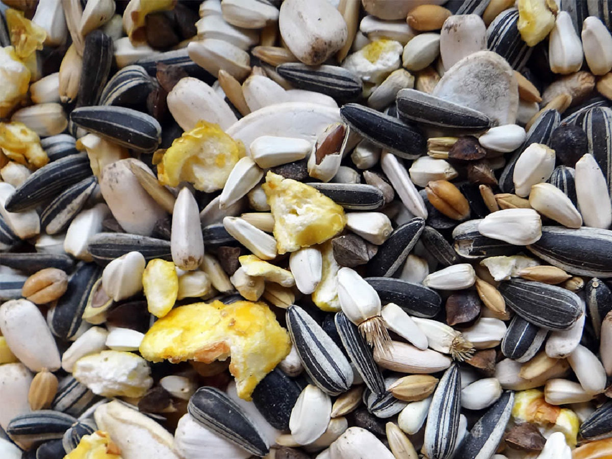 Papageienfutter Spezial