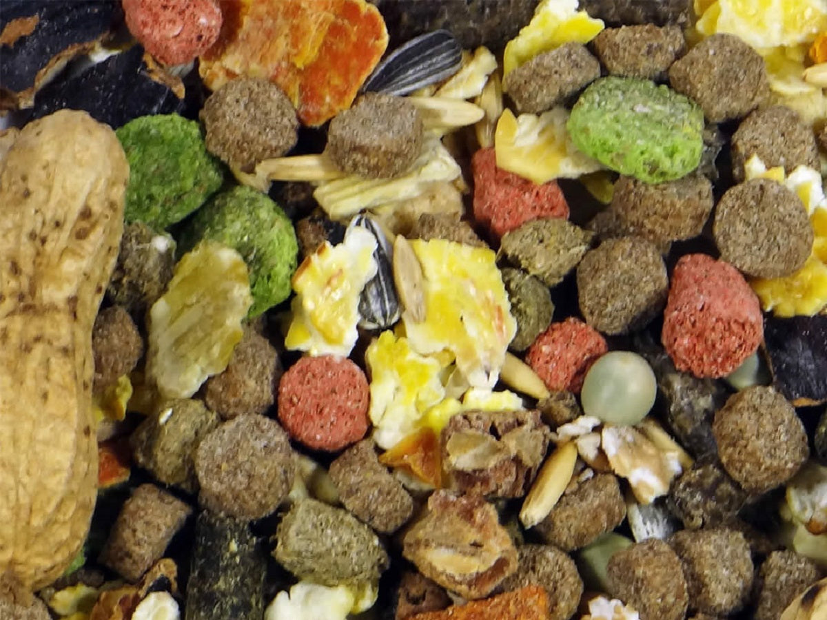 Premium Futter für Hamster