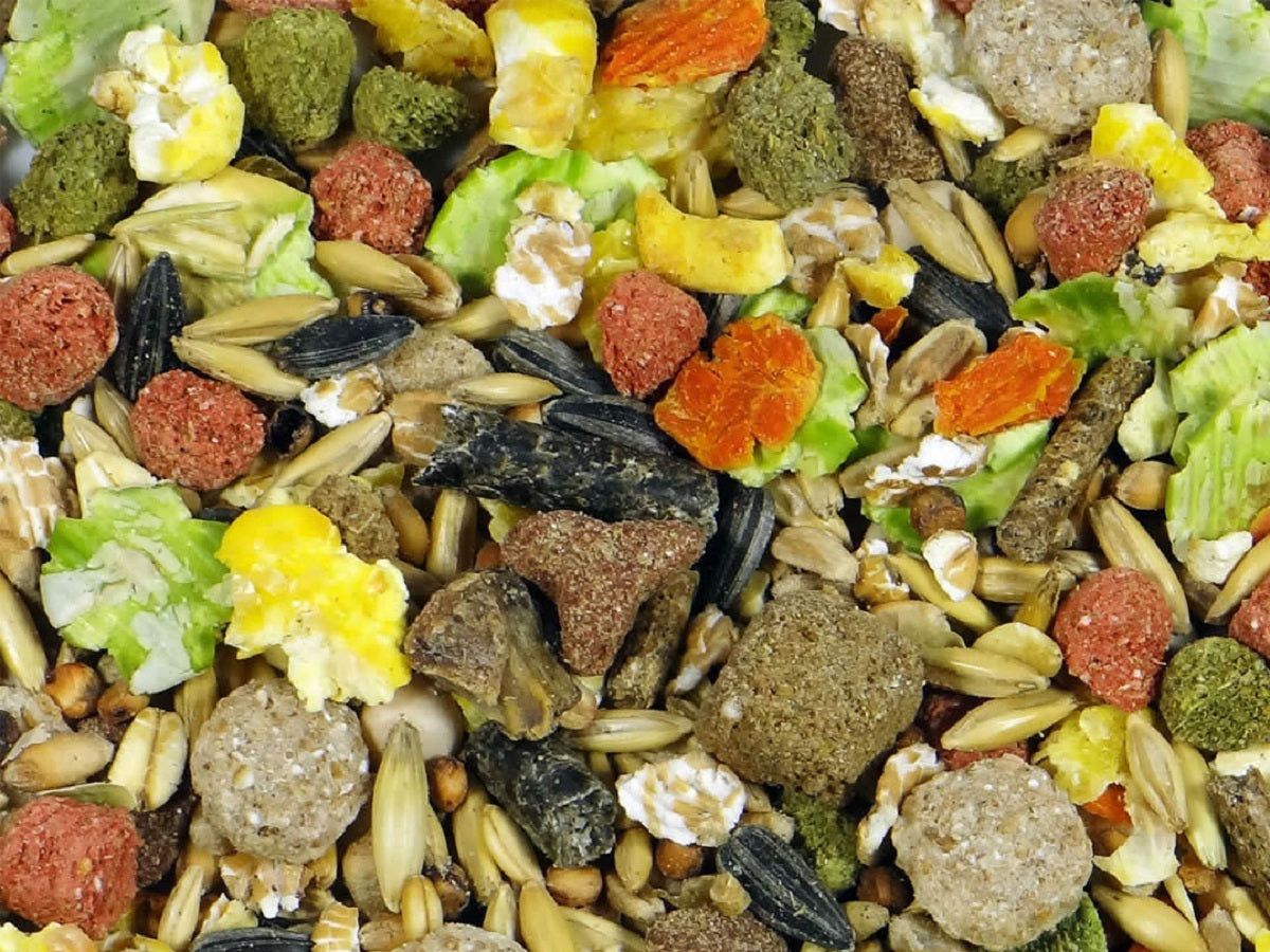 Witte Molen Premium Futter für Ratten