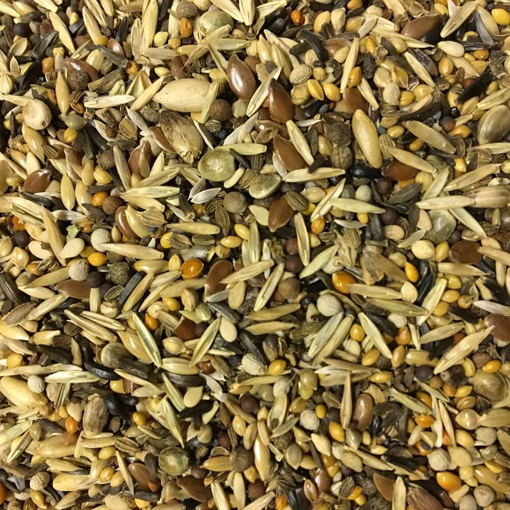 Futter für Stieglitze von Witte Molen