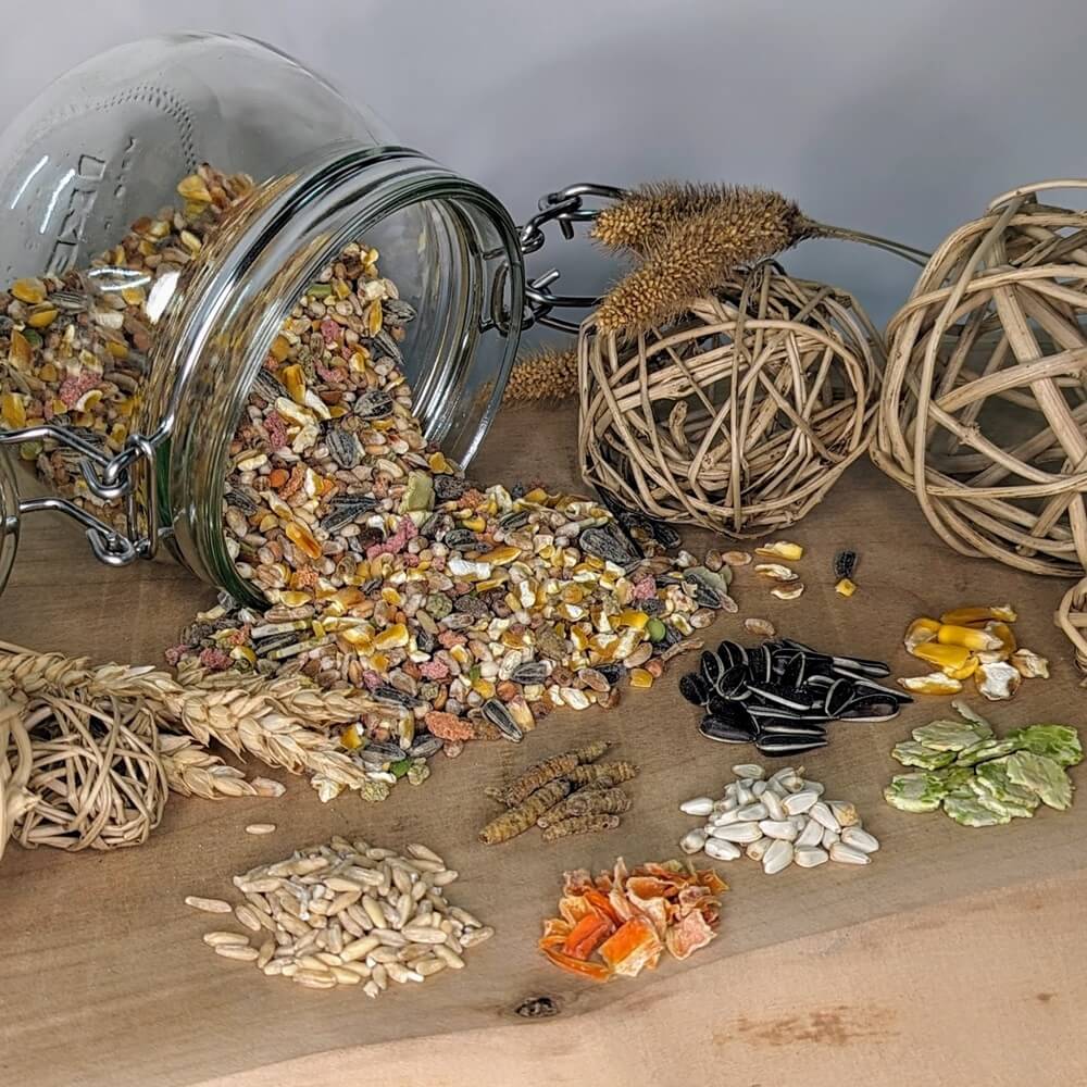 Ziergeflügelfutter mit Soldatenfliegenlarven