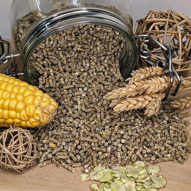 Premium Legekorn ohne Soja mit Kräutern von Fräulein Ella