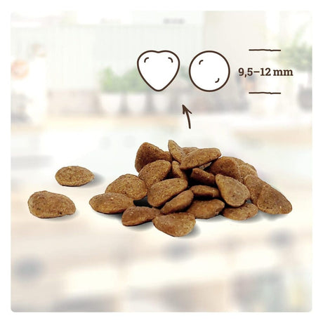Betty's Katzen Trockenfutter Adult Kaninchen pur