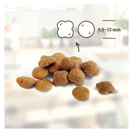 Betty's Katzen Trockenfutter Adult Huhn & Ente