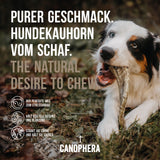 Hunde Kauhorn vom Schaf