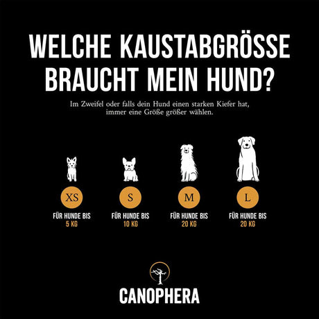 Canophera Kaustab für Hunde aus Olivenholz