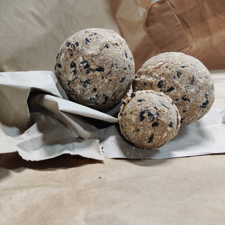 Zum Vergleich mit einem Knödel normaler Größe