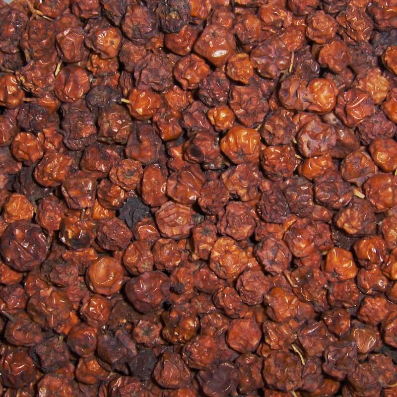 Ebereschenbeeren sind getrocknete Vogelbeeren