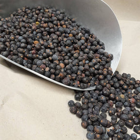 Getrocknete Wacholderbeeren für Vögel