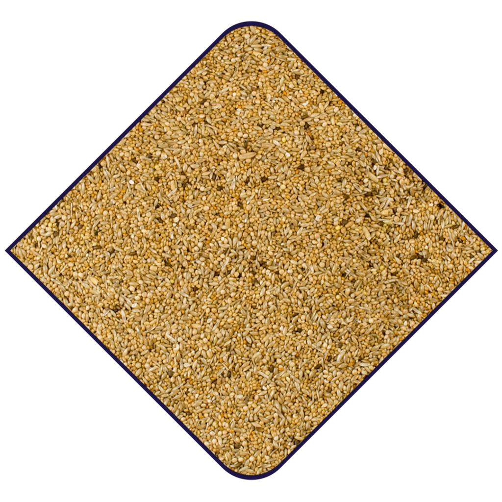 Expert Gouldamadinen Futter X213 Spitzschwanzamadinen