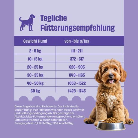 FairFresh Menü Rind mit Quinoa schonend dampfgegart
