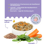 FairFresh Menü Rind mit Quinoa schonend dampfgegart