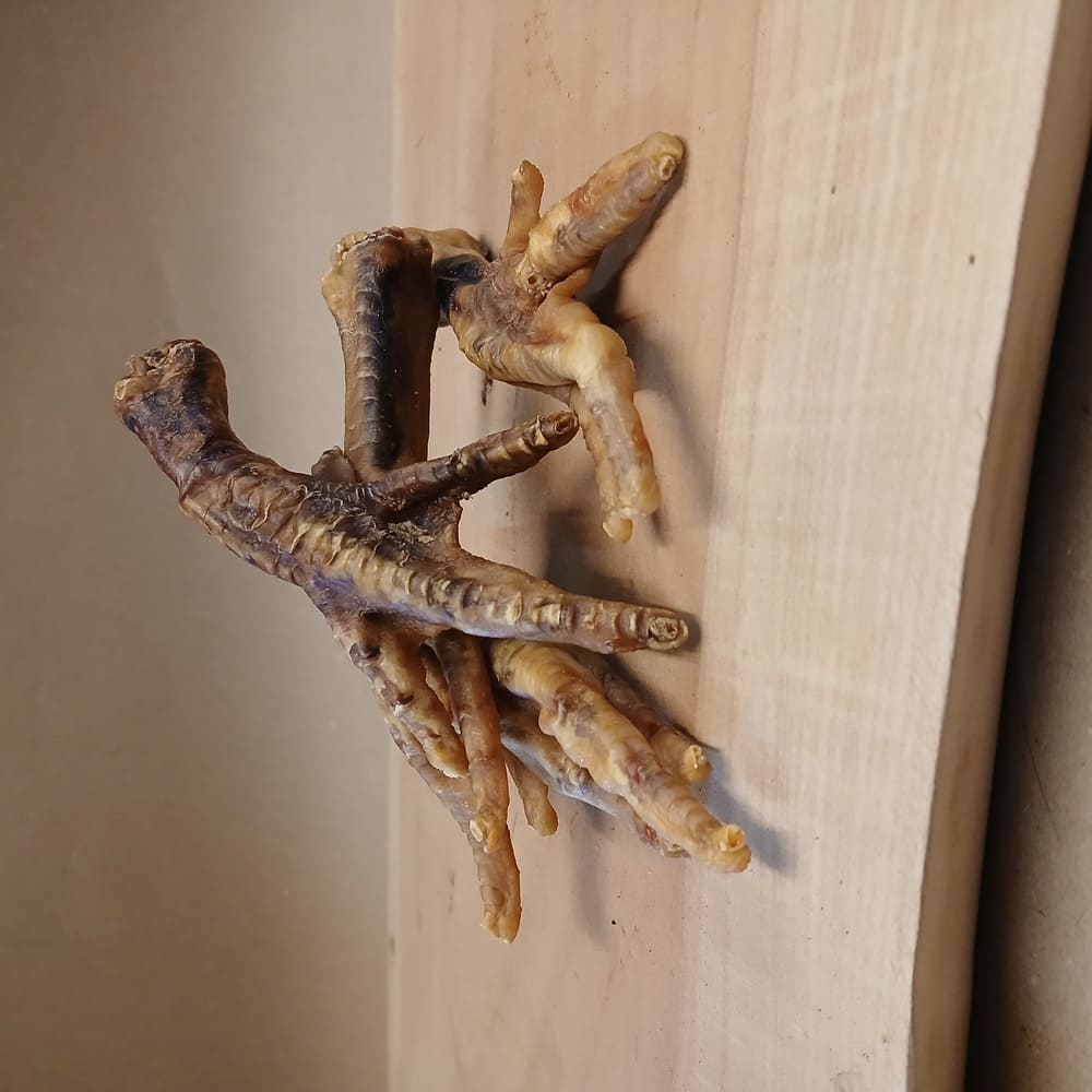 Getrocknete Hühnerfüße für Hunde