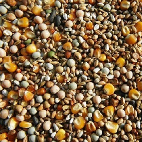 Premium Futter für die Mauser