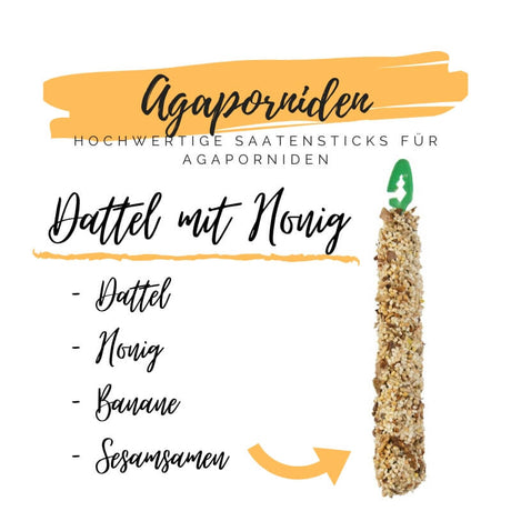 Agaporniden Sticks mit Dattel und Honig