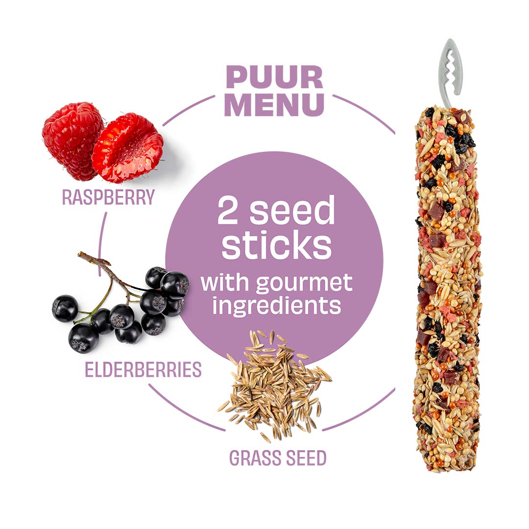 Puur Sticks für Exoten Himbeere & Holunderbeere