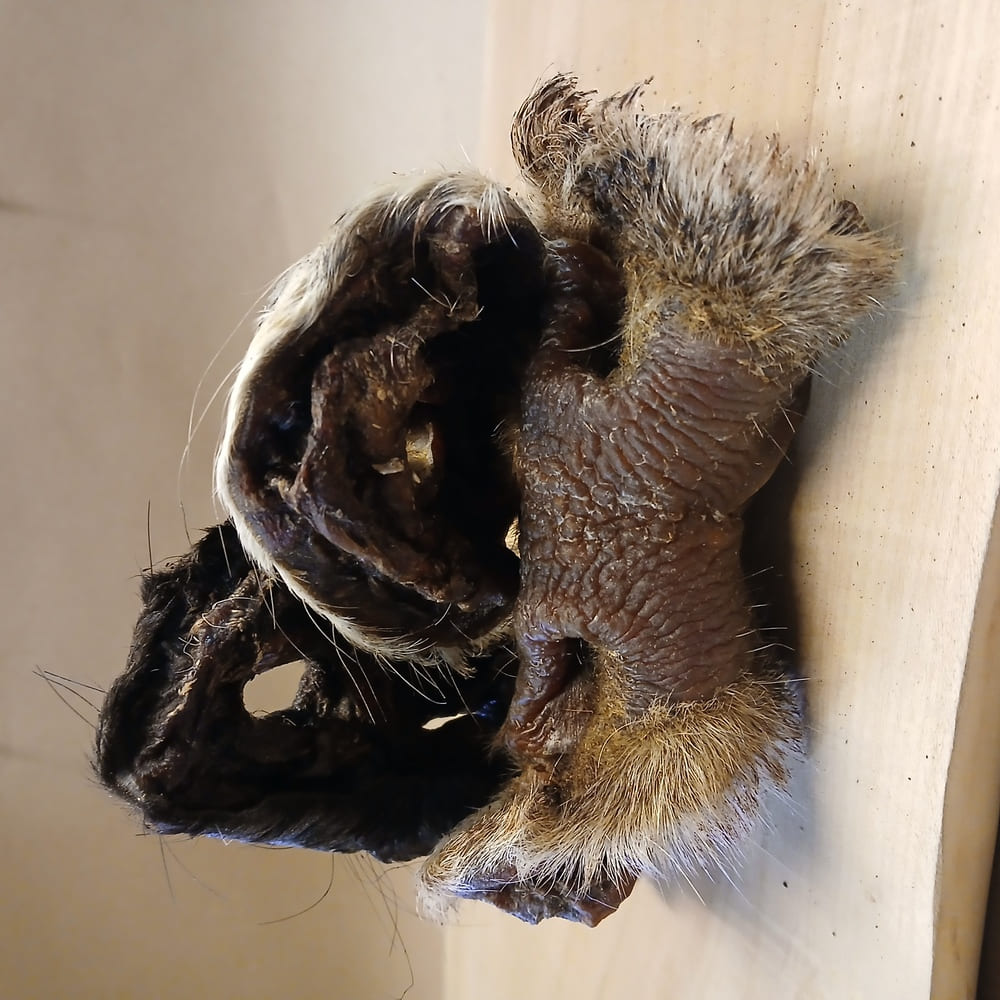 Rindernasen mit Fell für Hunde
