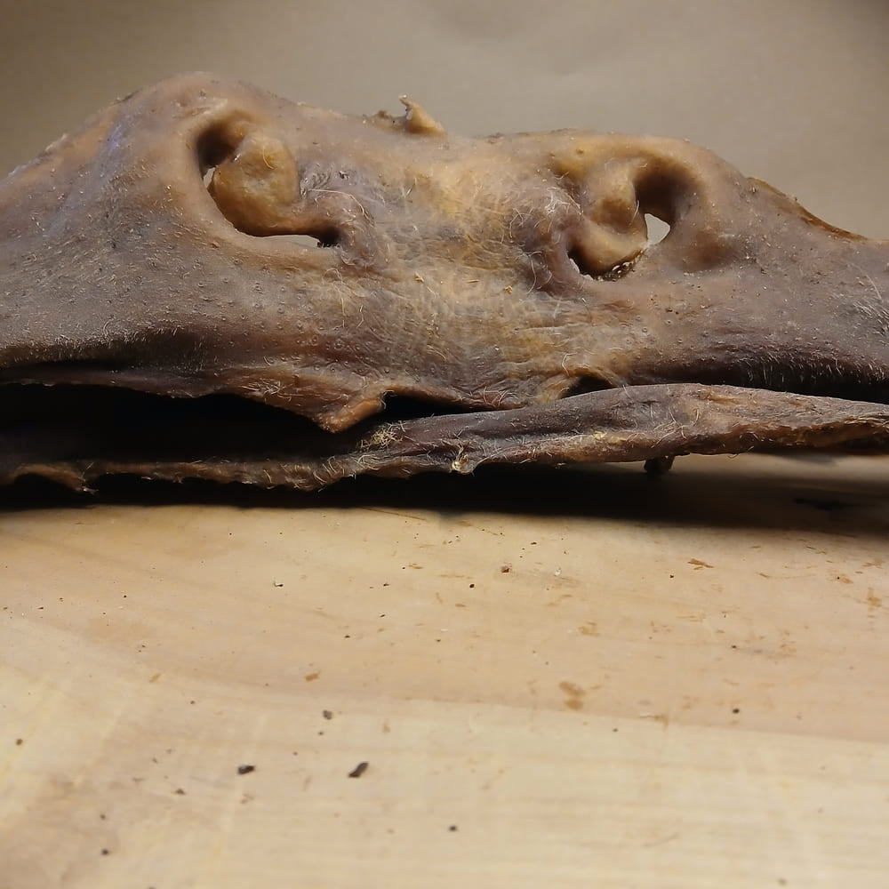 Rindernasen Platten getrocknet