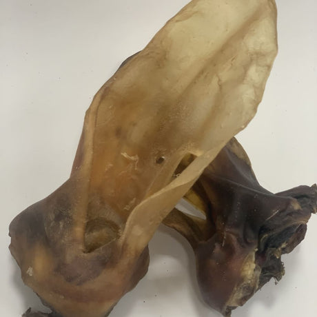 getrocknete Rinderoren mit Muschel