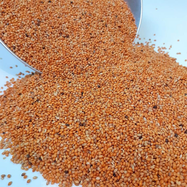 Rote Hirse Senegalhirse