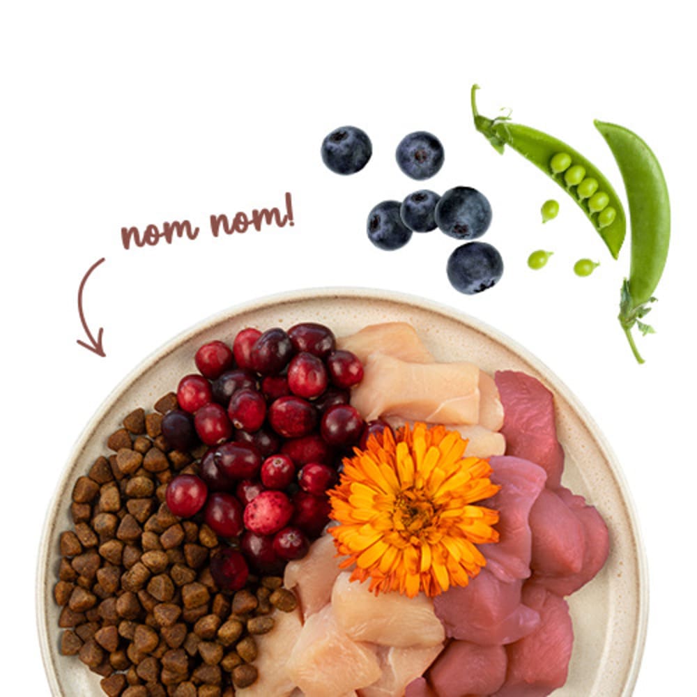 Sanabelle Indoor mit Perlhuhn & Preiselbeeren
