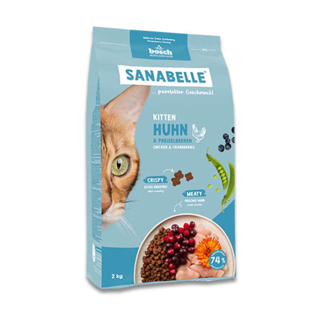 Sanabelle Kitten