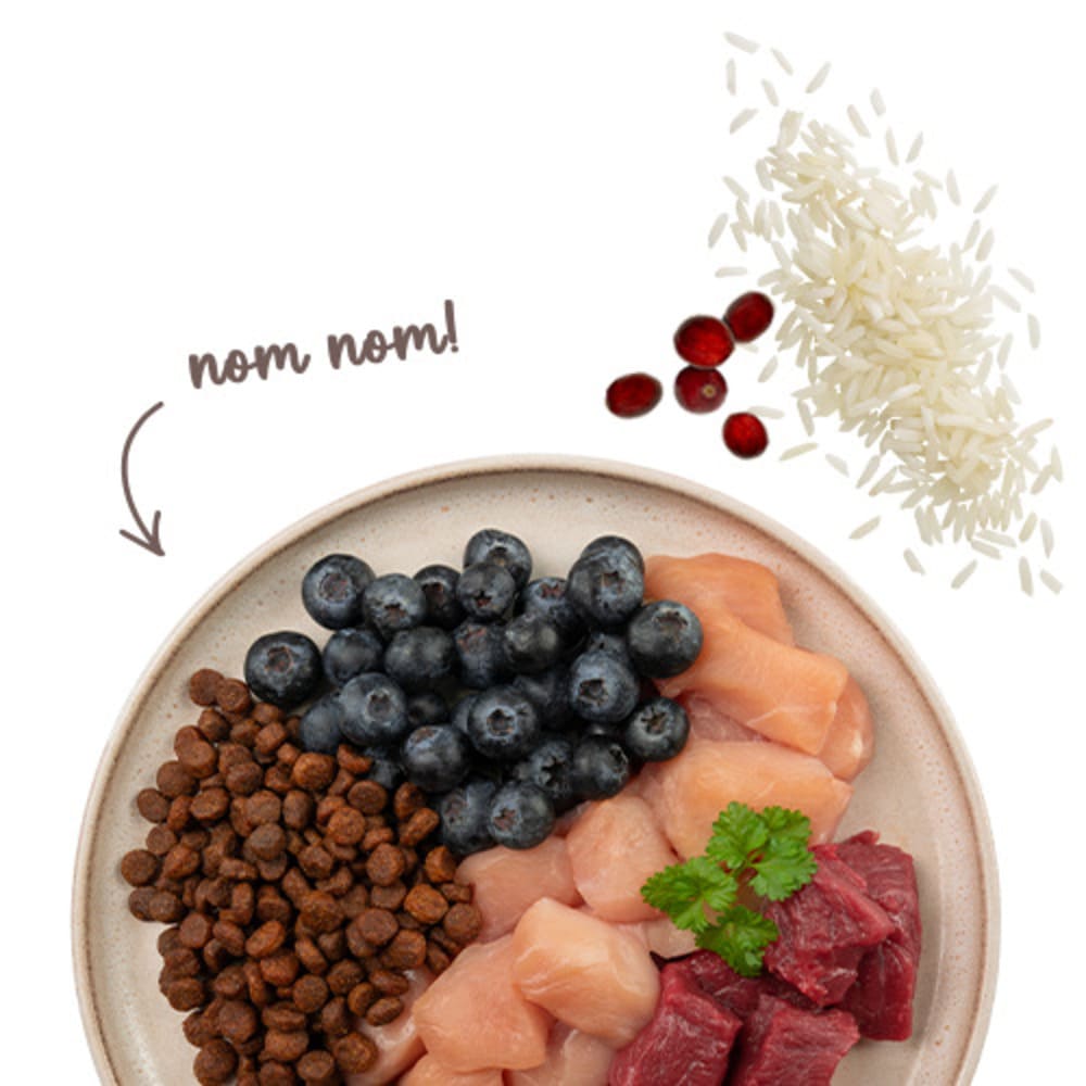 Sanabelle Sensitive mit Lamm & Blaubeeren