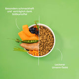 VegDog Green Crunch Trockenfutter