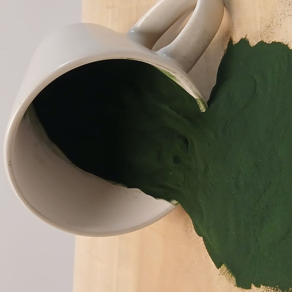 Wuffelz Spirulina für Hunde und andere Tiere