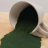 Wuffelz Spirulina für Hunde und andere Tiere